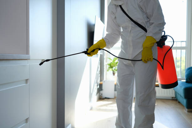 Office Mold Removal Services in Brush, CO