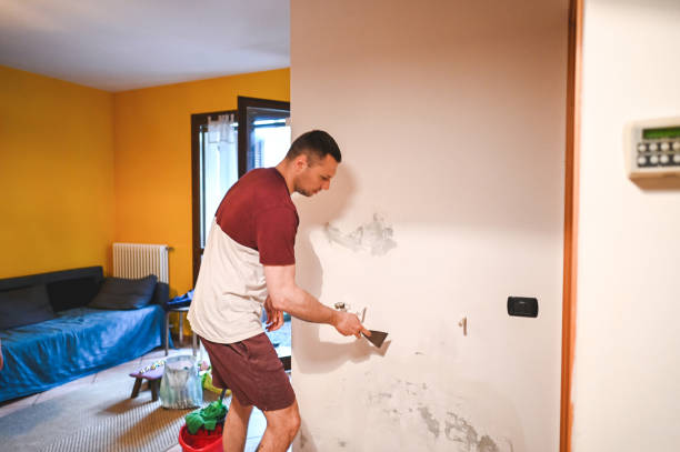 Best Professional Mold Removal  in Brush, CO
